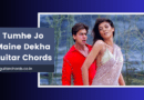 tumhe jo maine dekha chords