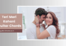 teri meri kahani chords