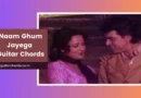 Naam Gum Jayega chords